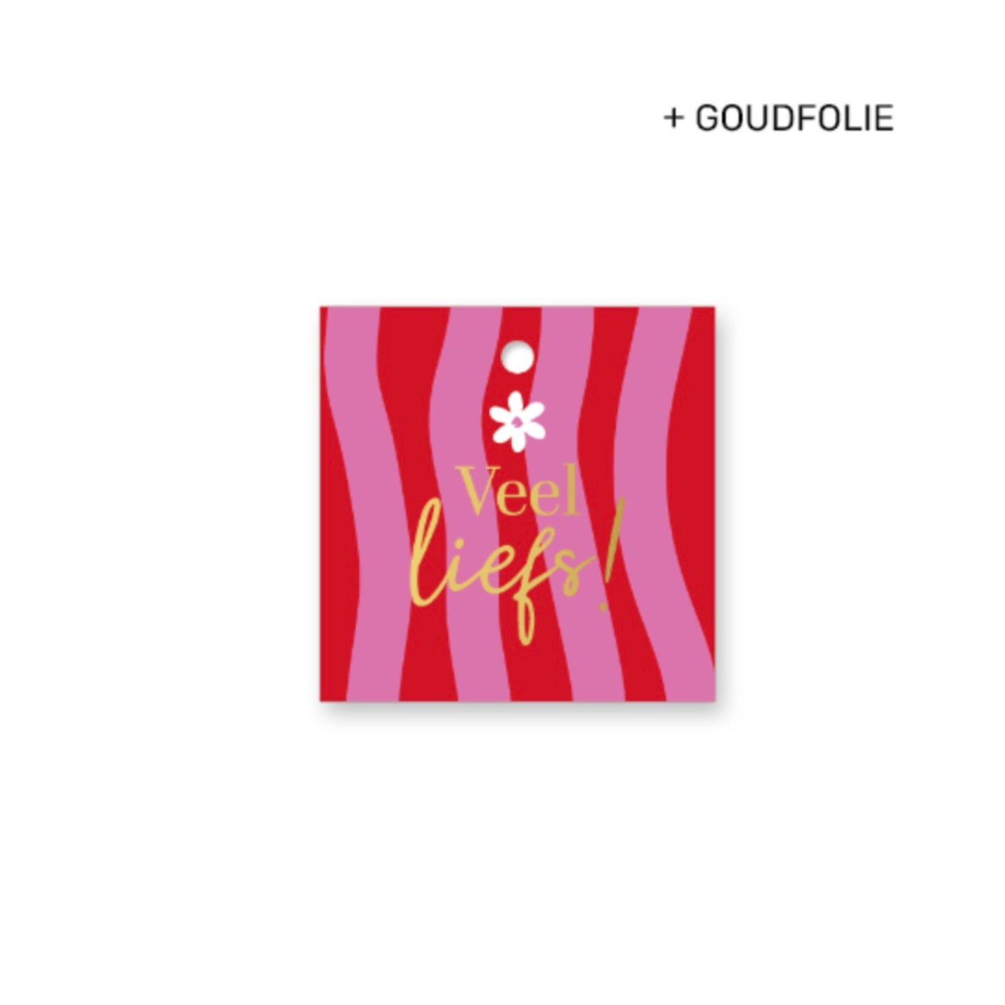 Cadeaulabel - veel liefs - roze/rood - 6x6 cm