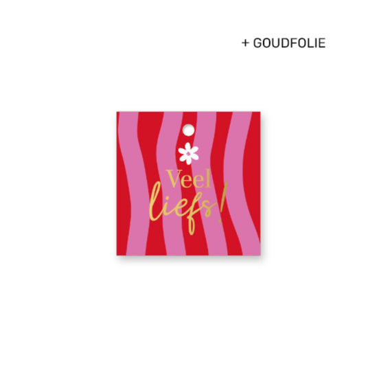 Cadeaulabel - veel liefs - roze/rood - 6x6 cm