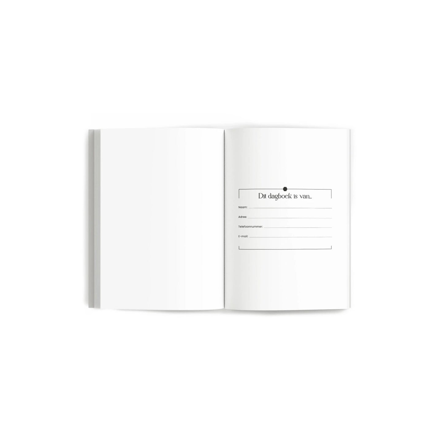 Invulboek - een moment per dag - A5 formaat - 13 weken